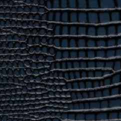 Caiman Blue