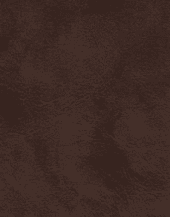 Cocollo A Saddle Bronze