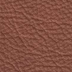 sauvage